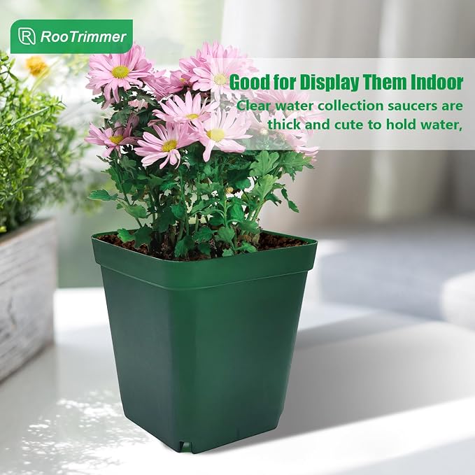 Square Nursery Succulent Pots 4 Inches 60 Pcs Deep Flower Plant Nursery - Image 7