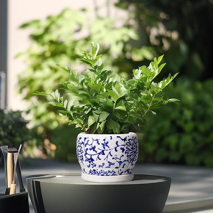 SQOWL 6 Inch Planter - Image 4