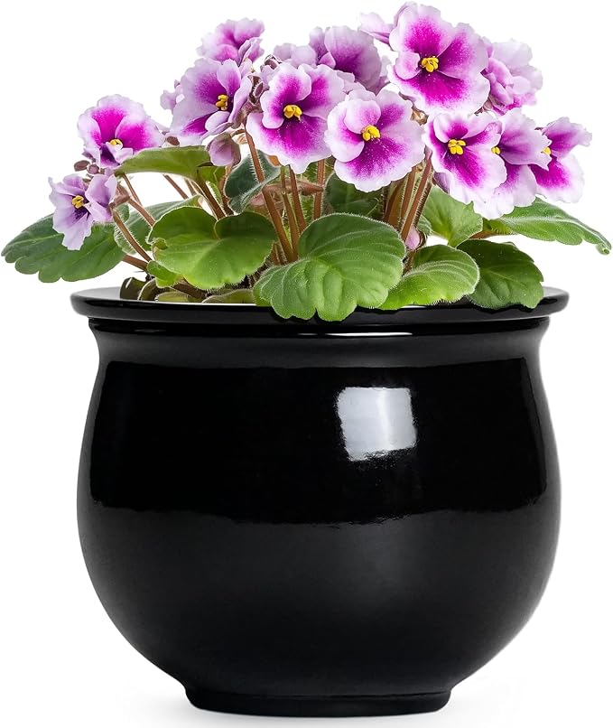 Ceramic African Violet Self Watering Pots, 6 Inch Self Watering Plant Pot by Teagas