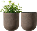 LA JOLIE MUSE Wall Hanging Planters by LaJol%C3%ADeMuse