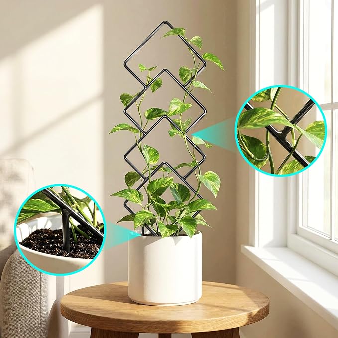 Indoor Trellis for Climbing Plants: 3PC Small Garden Metal Trellis for Vine Ivy - Image 5