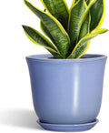 Ceramic Pots for Plants by SUNPOTFOR