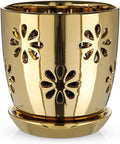 Oairse 6 inch Orchid Pots with Holes, Indoor Plant by Oairse