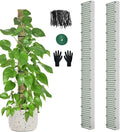 60" Metal Moss Pole, D Shape Sphagnum Moss Pole, Moss Poles by HOLANHING