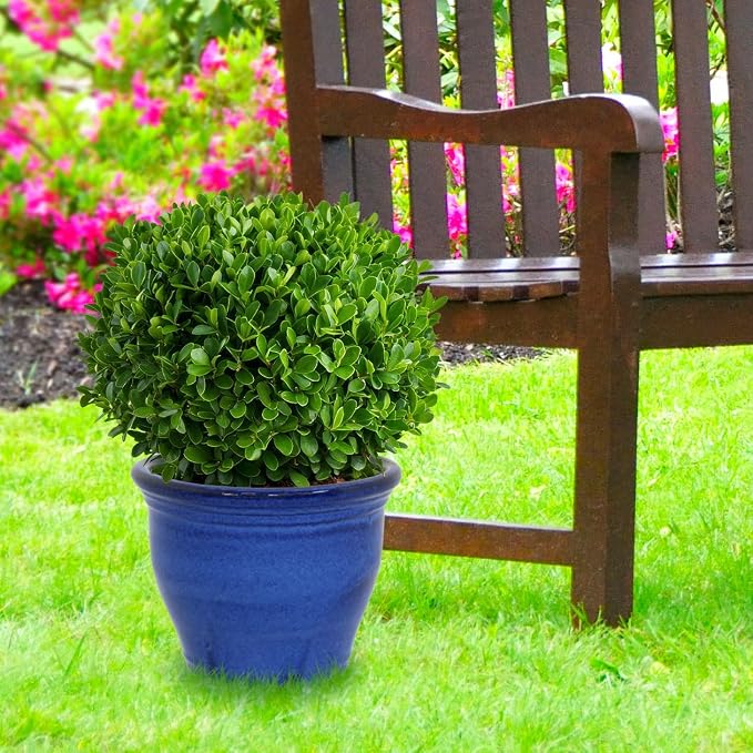 Sunnydaze Large Ceramic Plant Pot - Image 9