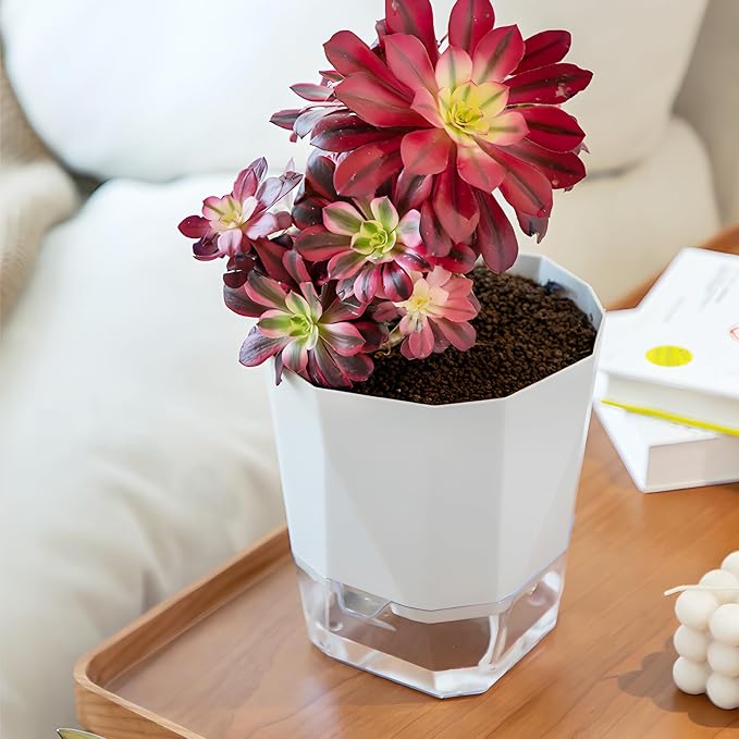 3 Pack Self Watering Planter Pots, 4.9 Inch African Violet Pots - Image 8