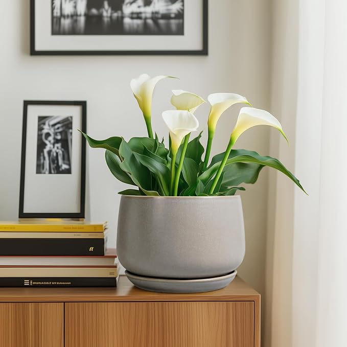 G EPGardening Ceramic Planter 9 Inch - Image 5