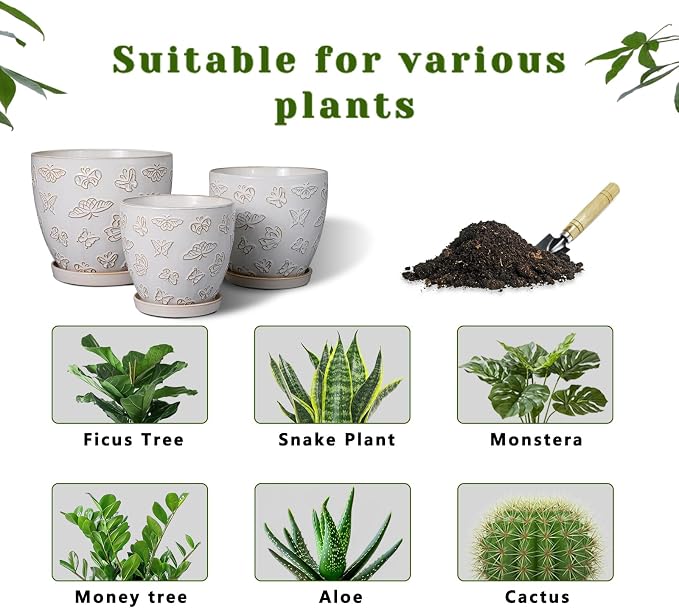 Ceramic Planter Pot - Image 8