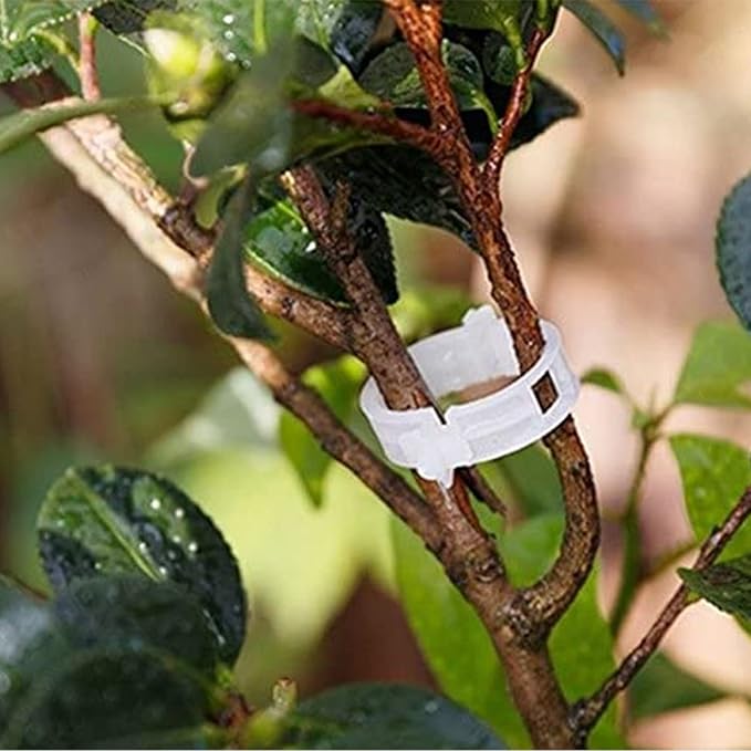 100PCS Plant Support Garden Clips Tomato Clips Supports/Connects - Image 4