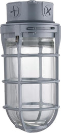 Lithonia Lighting Jelly Jar Light Fixture, Incandescent Utility Vapor Tight by AcuityBrands