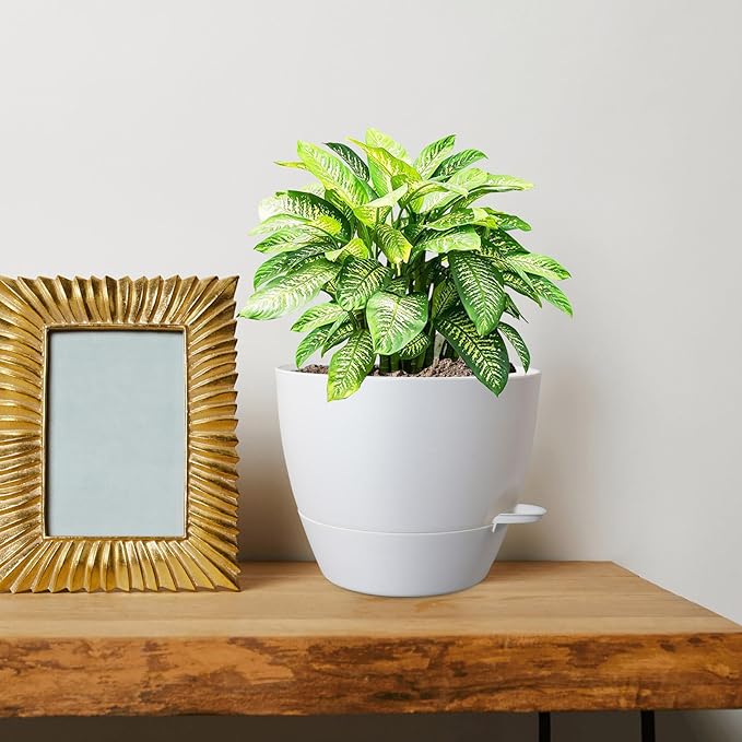 8 inch Self Watering Pots, Plant Pots - Image 7