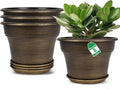 Plant Planters Pots Set of 4 Pack 8 Inch, Plastic Flower Pot by Fodetyff