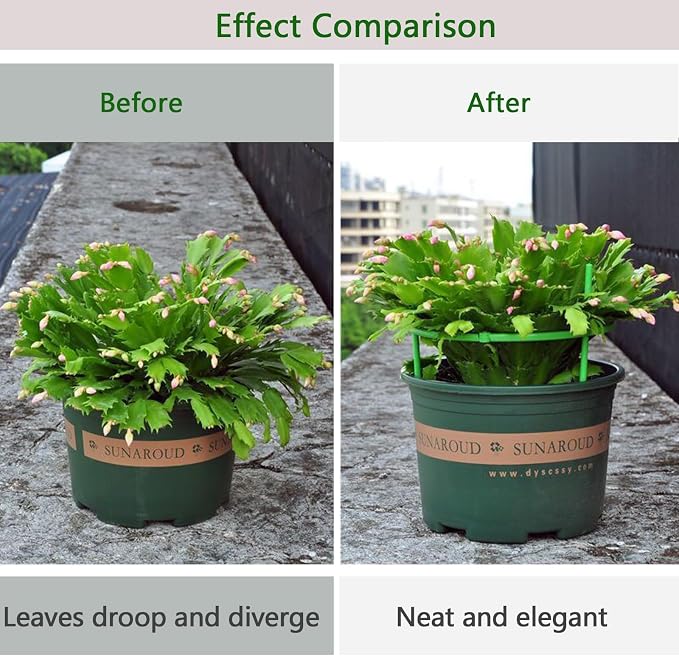 12 Packs Plant Support Stakes, Plant Support - Image 2