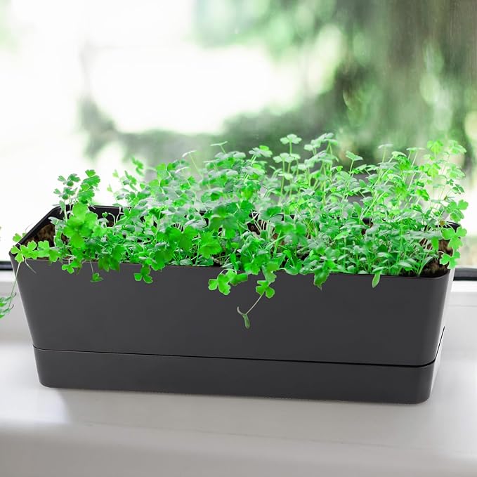 Window Box Planter with Tray - Image 7