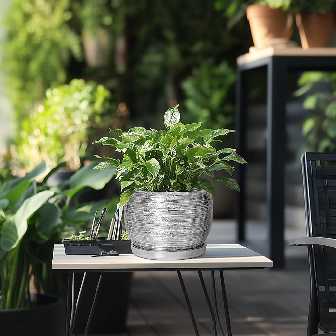 SQOWL Ceramic Pot for Plants - Image 5