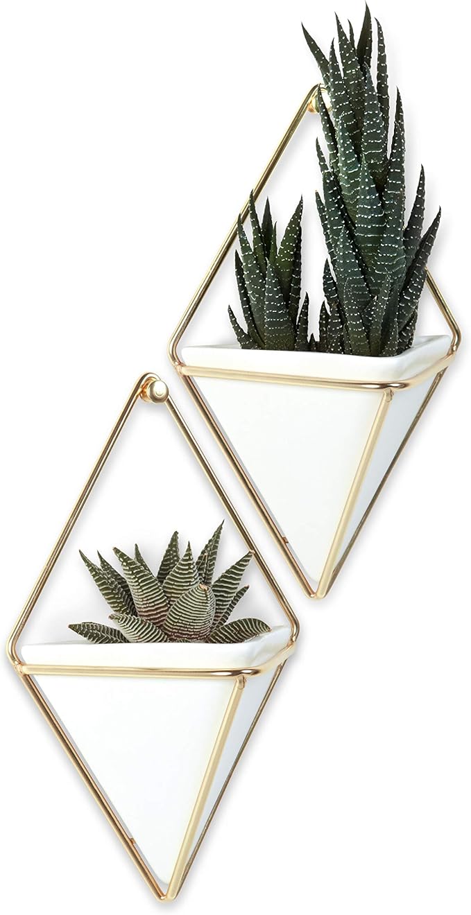 Umbra Trigg Hanging Planter Vase Wall Decor, Faux Plants, and More - Image 13