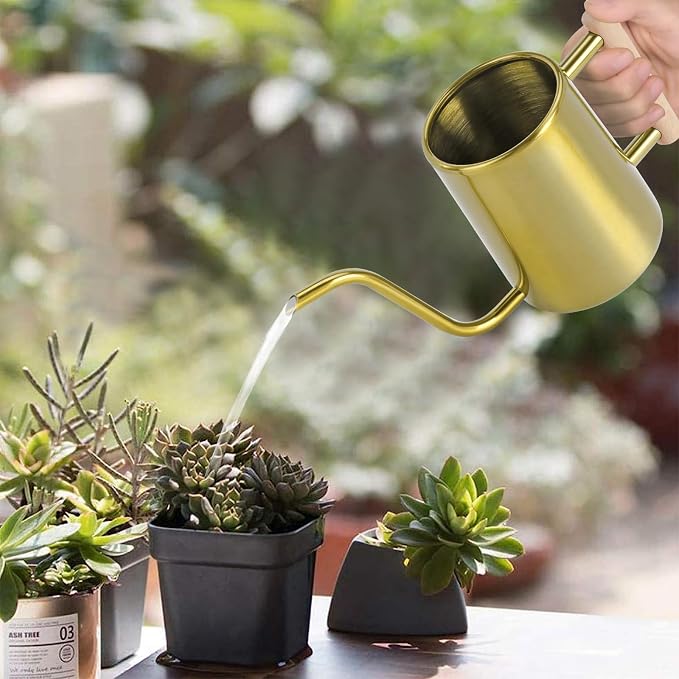 Watering Can Indoor Plants, 35 oz/1000 ml Metal Stainless Steel Watering Can Pot - Image 2