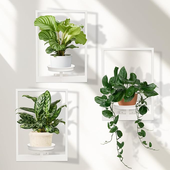 Hanging Planters for Indoor Plants White, Wall Plant Holder Stand to Hold Large by STORENIZATION