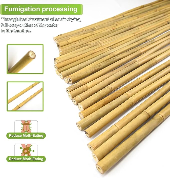 30pcs 3/10" D Thicker Heavy Duty Bamboo Stakes, 2FT Plant Stakes, Natural - Image 3