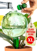 16 Oz Plant Watering Globes for Indoor Plants by GARDENBRO