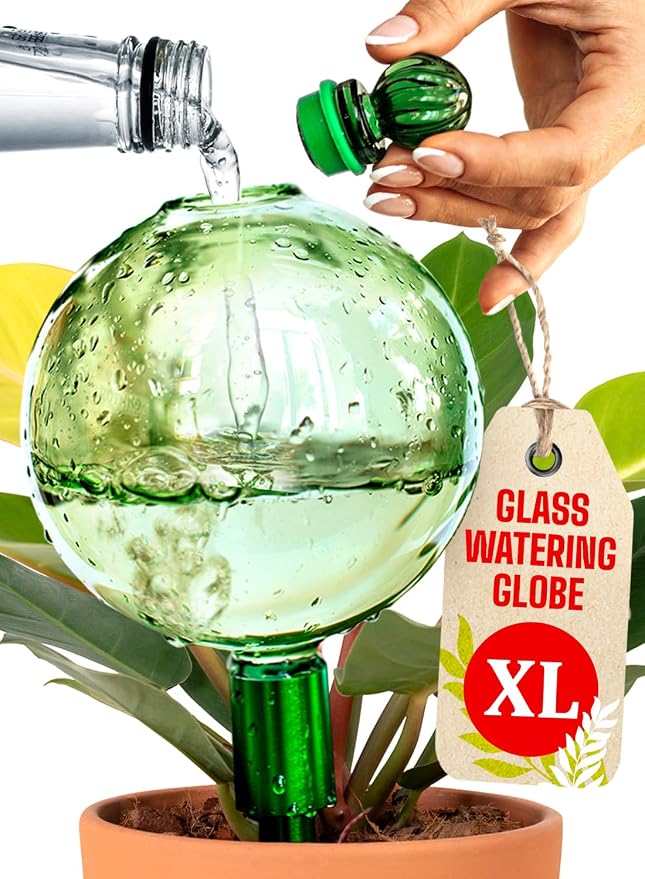 16 Oz Plant Watering Globes for Indoor Plants by GARDENBRO
