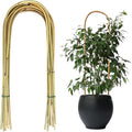 20 Pack Bamboo U Trellis for Potted Plants by Unknown