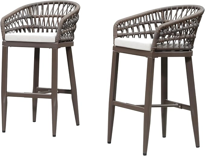 PURPLE LEAF Outdoor Rattan 29" Bar Stools Set of 2, Modern Boho Aluminum Patio by PURPLELEAF