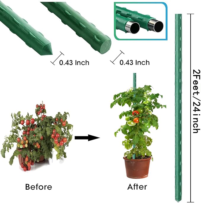 2Feet 24inch Garden Stakes Sturdy Plant Sticks Support Tomato Stakes - Image 2