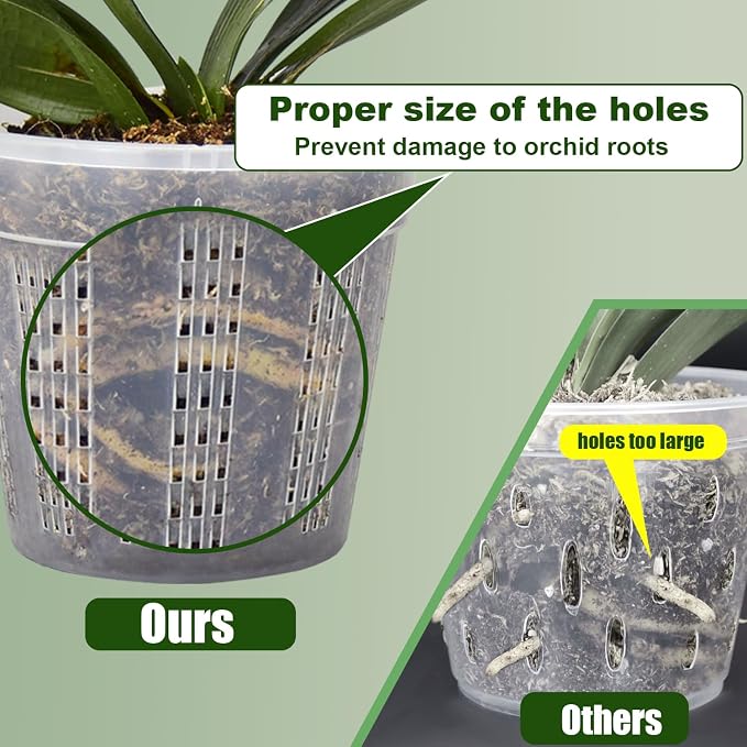 Orchid Pot, 2 Each of 4.3", 6.1" Orchid Pots - Image 3