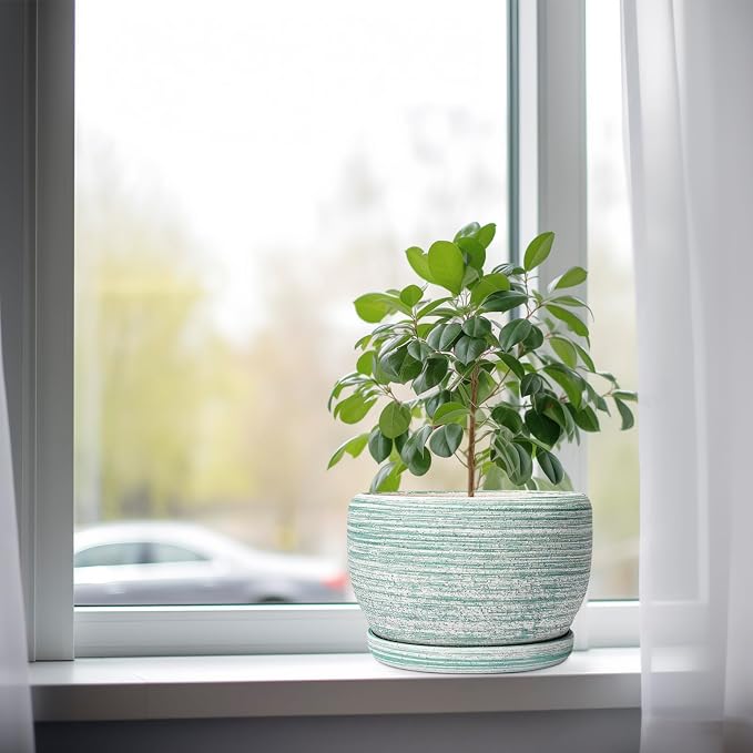 SQOWL Ceramic Planters for Indoor Plants - Image 4
