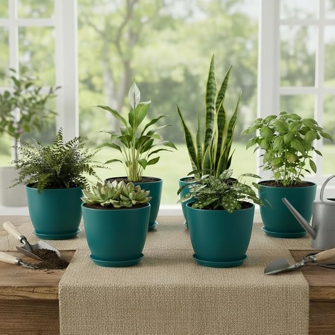 Plant Pots 8 Inch Set of 6, Flower Pots - Image 7