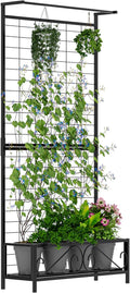 Zhongma Metal Planter with Trellis Raised Bed with Trellis by Zhongma