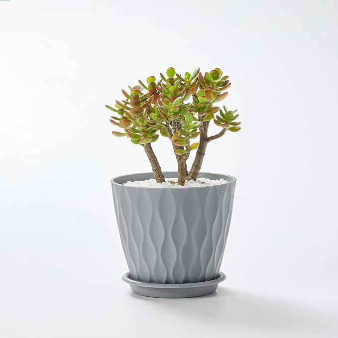FaithLand 6-Pack 6-Inch Plastic Plant Pots - Image 7