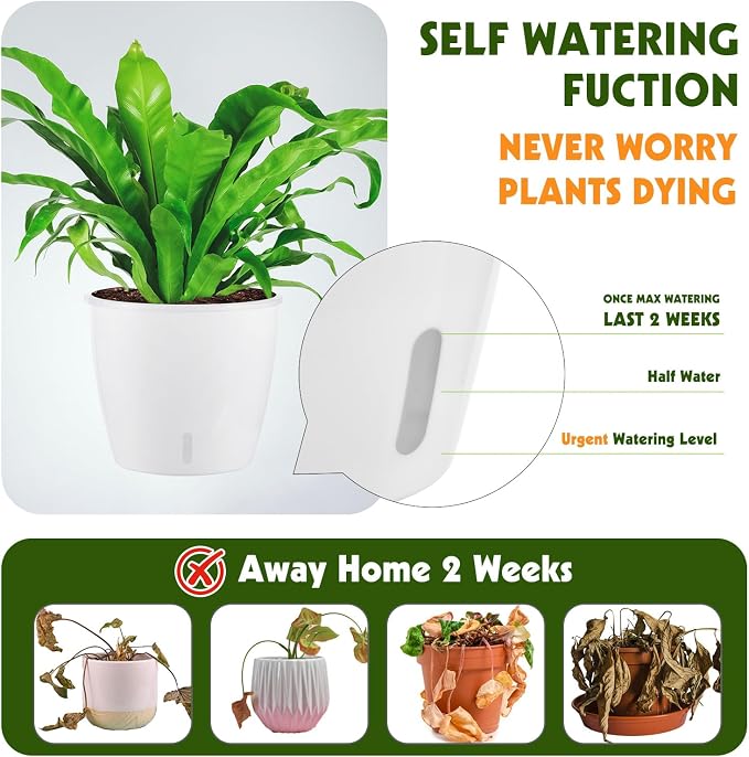 Self Watering Pots for Indoor Plants, Small African Violet Pots - Image 4