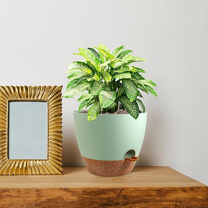 8 inch Self Watering Pots, 2 Pack Plastic Planters - Image 7
