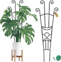 32.6in Monstera Plant Support Stakes by COOMIN