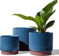 LE TAUCI Ceramic Pots for Plants, 8+6.7+5.5 Inch Plant Pots Indoor, Flower Pot by LETAUCI