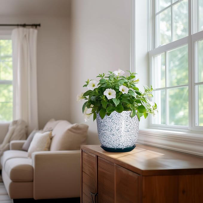 Ceramic Pots for Plants - Image 6