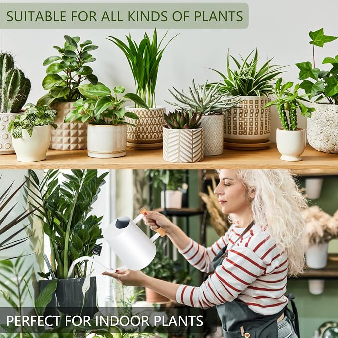 Watering Can Indoor Plants, 35oz Small Stainless Steel Metal Watering Can - Image 4