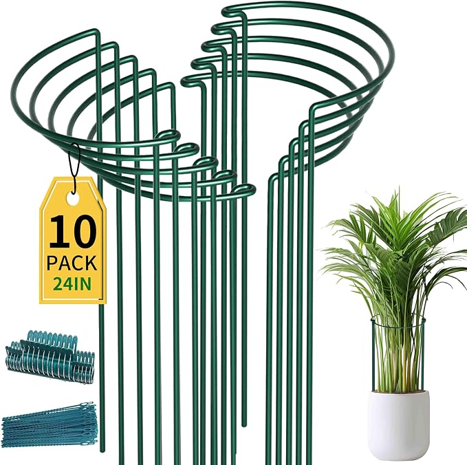 TCBWFY 10 Pack Plant Support Stakes by TCBWFY