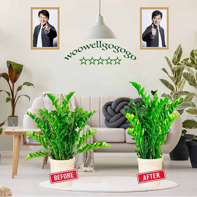 4 Pack Snake Plant Support Stakes, Peony Cages and Supports, Heavy-Duty - Image 6