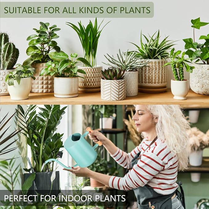 Watering Can Indoor Plants, 35oz Small Indoor Stainless Steel Metal Watering - Image 4