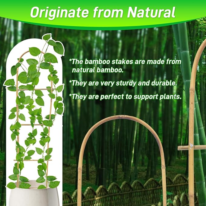 10 Pack 4ft U-Shape Bamboo Trellis - Image 4