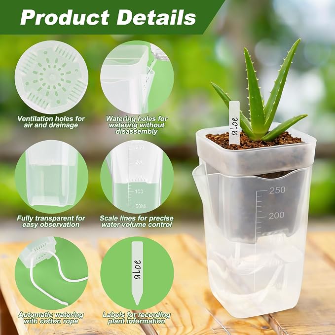12 Pack Self Watering Pots Set for Indoor Plants, 2.5" Small Clear Self - Image 3