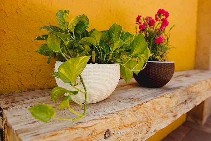 GARDENIX DECOR 11'' Self Watering Hanging planters - Image 8
