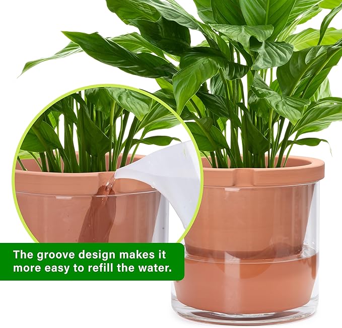 D'vine Dev 10 Inch Design Self Watering Pot - Image 6