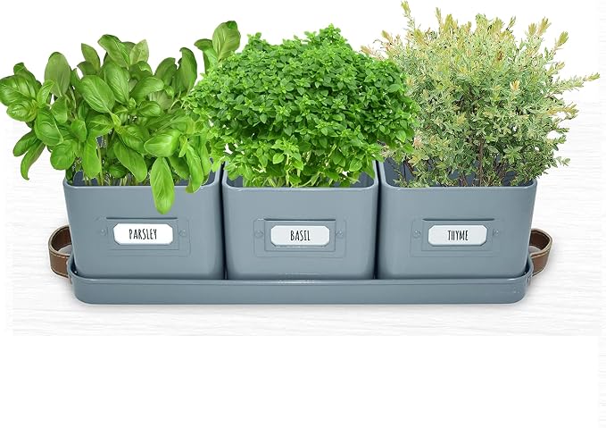 volila Herb Planter Indoor - Image 9