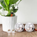 19 oz Extra Large Plant Self Watering Globes Top Fill, Plastic Water Bulbs by SoilaguaDirect