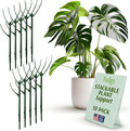 Stackable Plant Support Stakes, Indoor & Outdoor Houseplant Stem Support by TwigsGardenAccessories