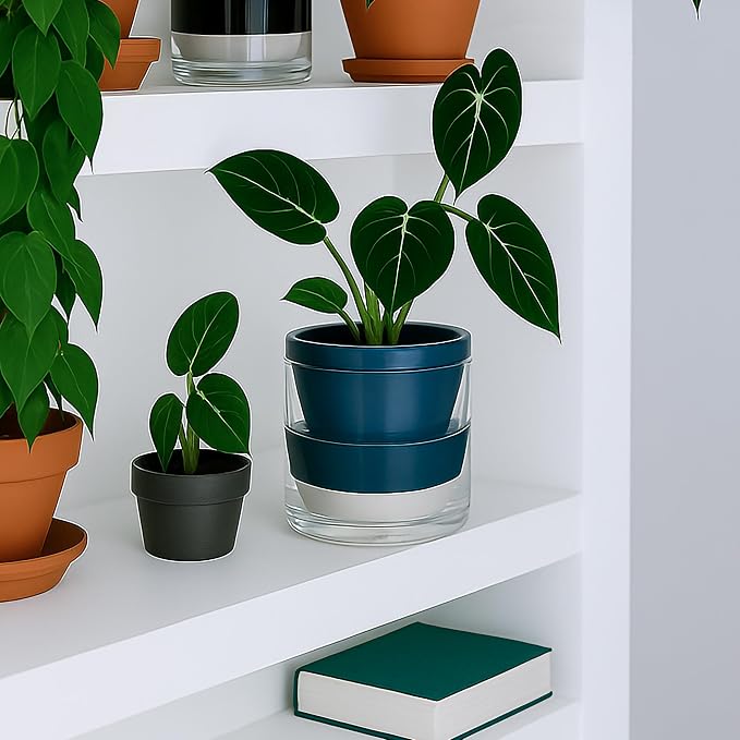 D'vine Dev 6 Inch Design Self Watering Planter - Image 6